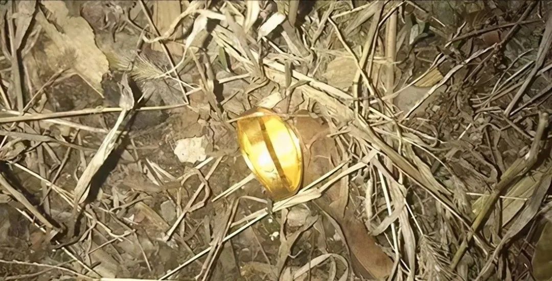 一起离奇的金戒指丢失案就此告破,董某被警方采取刑事强制措施,金戒指