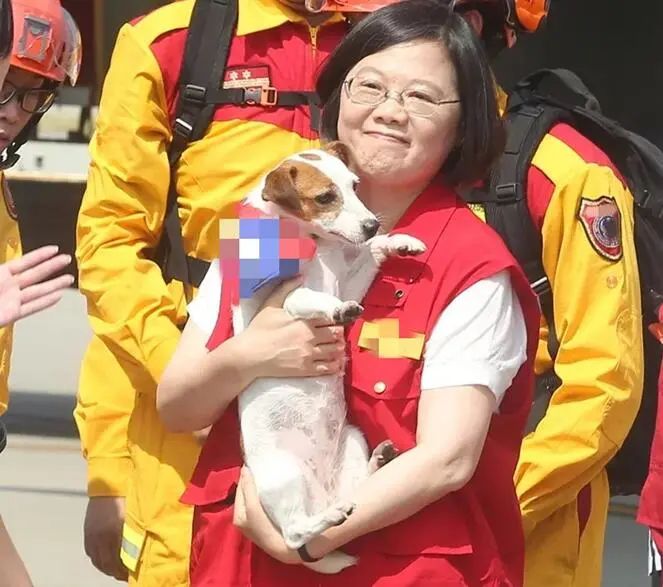 蔡英文这次因“犬”生事！