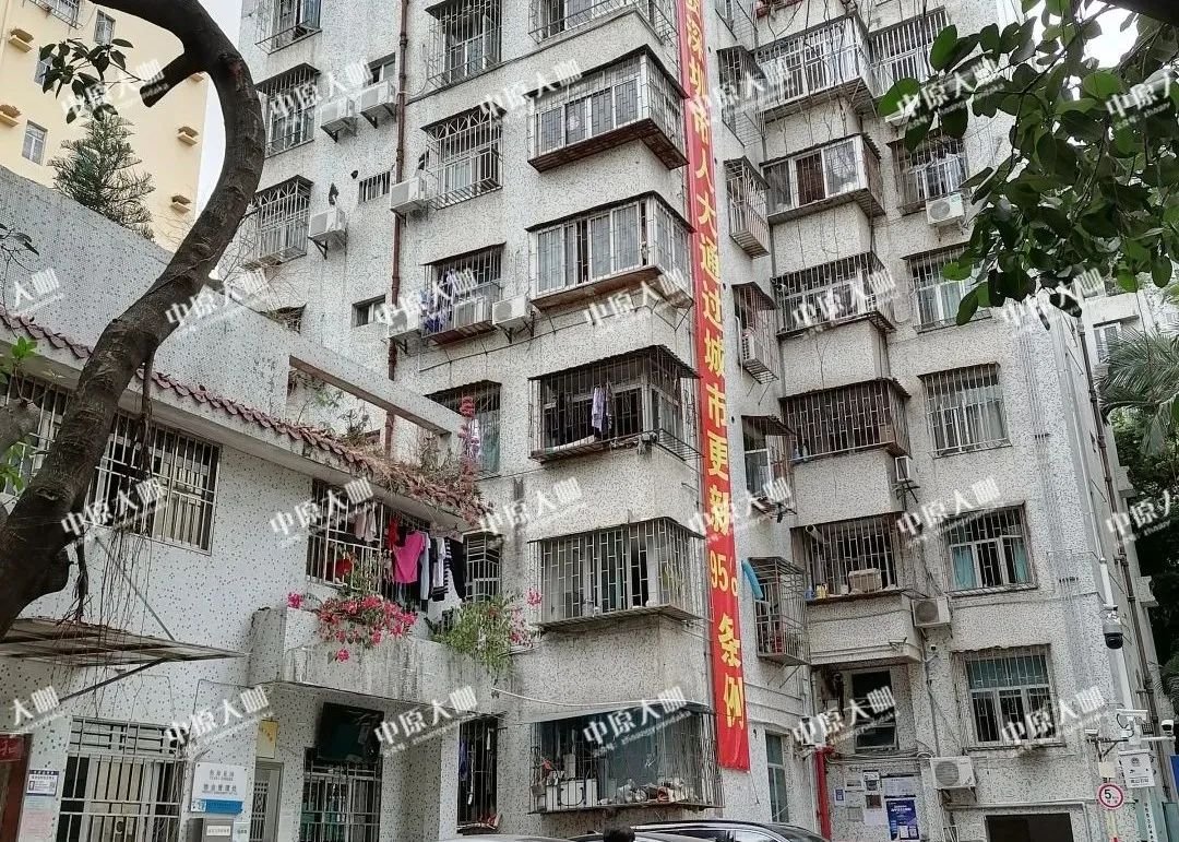 "最牛街道"后海村旧改规划草案出炉!近30万平住宅上新