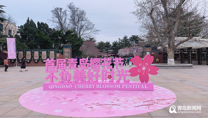 恒大文化旅游城樱花节图片