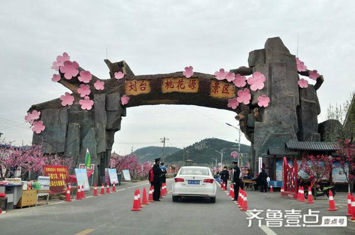 山东肥城刘台村万亩桃花鲜艳怒放桃花源再现醉美画卷