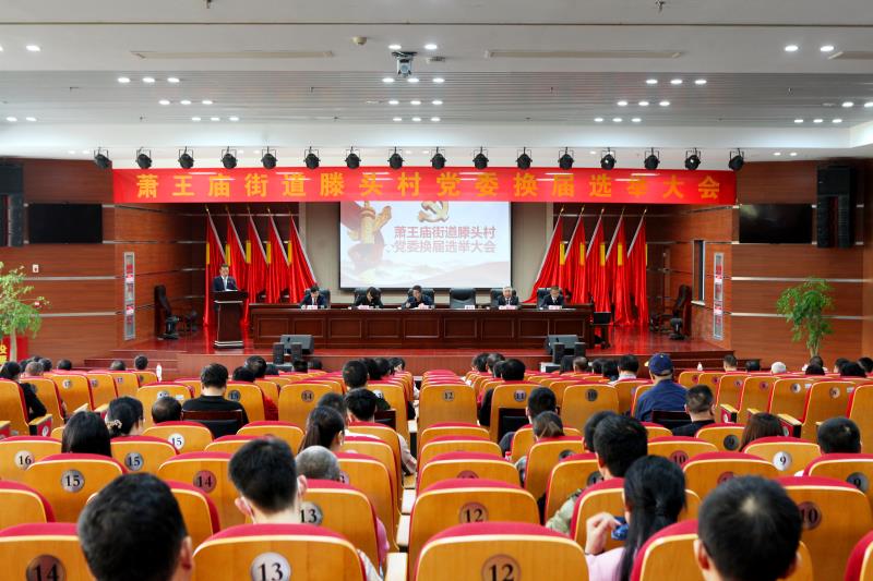 村党委换届现场.