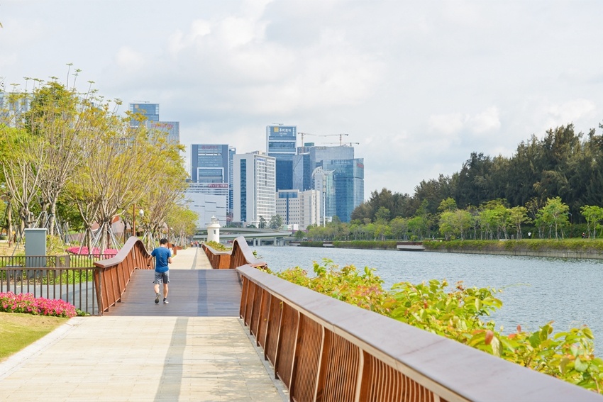 深圳大沙河:碧波行赛艇 鸟鸣芳草间