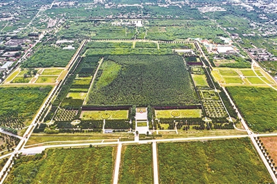 陕西发布秦始皇陵保护条例