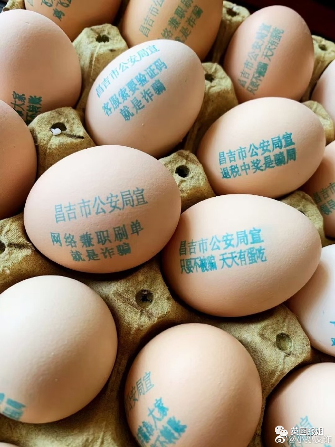 笑爆！警犬出卖色相，送鸡蛋…中国警察为了你不被骗有多拼！休闲区蓝鸢梦想 - Www.slyday.coM