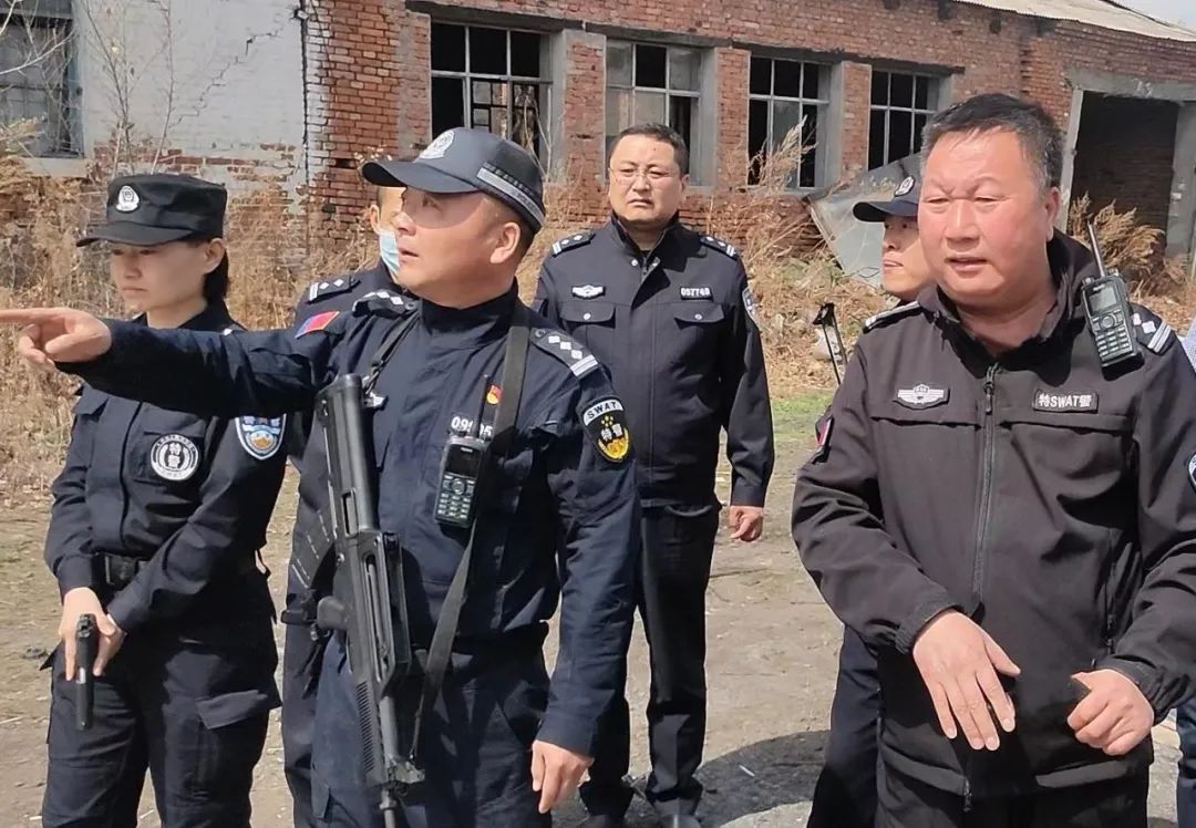 双鸭山岭东藏獒挣脱铁链逃跑周围居民人心惶惶特警出动将其击毙