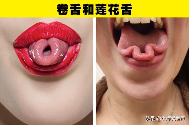 1,卷舌和莲花舌