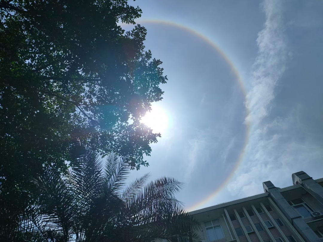 太阳被一道美丽的七色光圈彩带环绕,衬着淡蓝的天空,光圈内现出一层