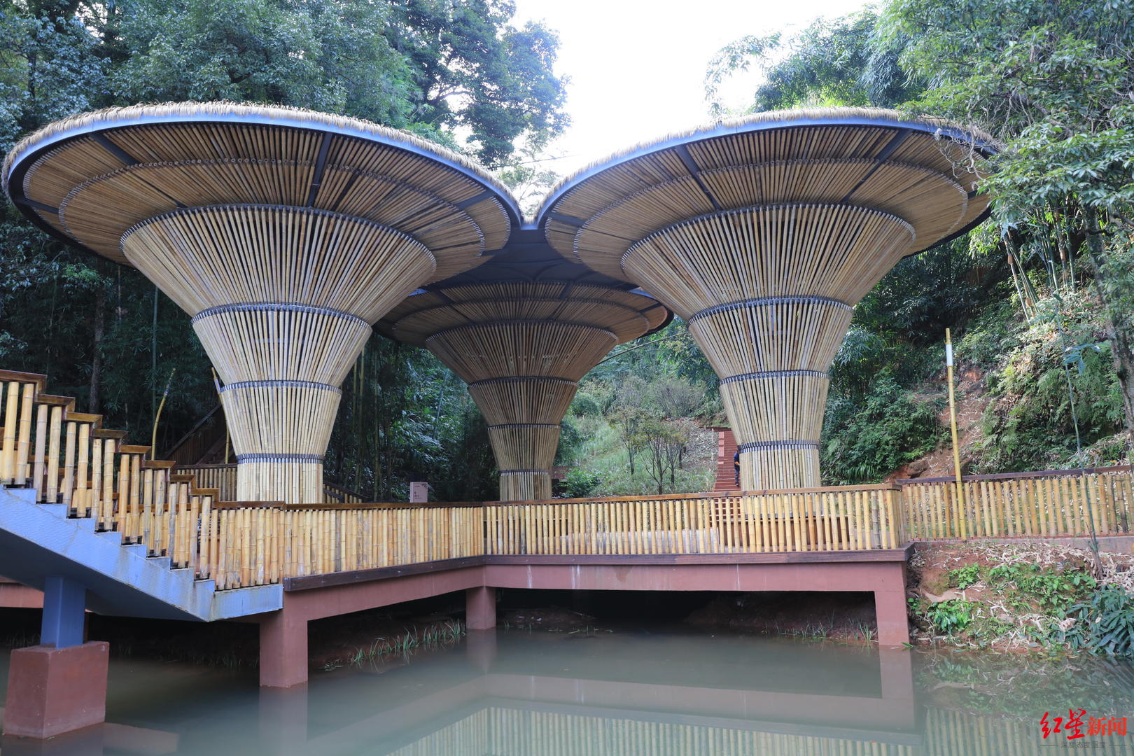 五一去打卡!蜀南竹海升级打造完成 观云台临崖修建3层观景平台