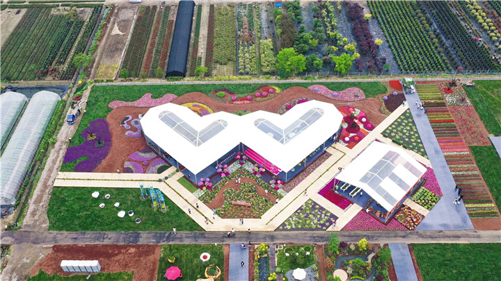 一日赏不尽海宁长安花__财经头条