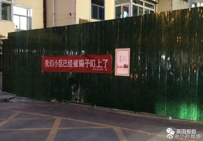 笑爆！警犬出卖色相，送鸡蛋…中国警察为了你不被骗有多拼！休闲区蓝鸢梦想 - Www.slyday.coM