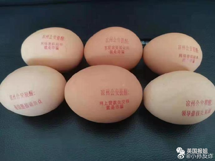 笑爆！警犬出卖色相，送鸡蛋…中国警察为了你不被骗有多拼！休闲区蓝鸢梦想 - Www.slyday.coM