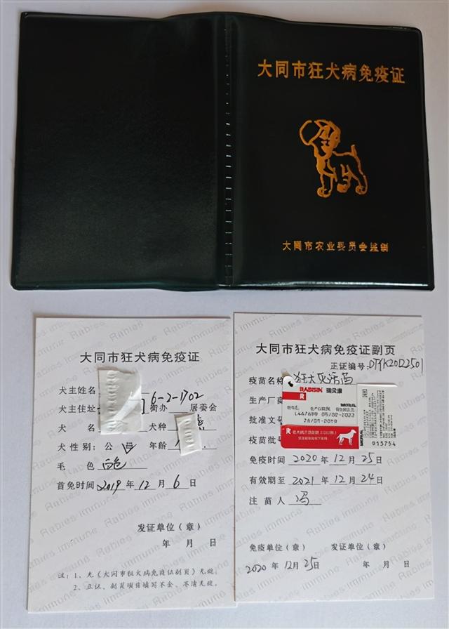 狂犬病免疫证件 成自力 摄新修订的《动物防疫法》针对一些常见的不