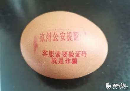 笑爆！警犬出卖色相，送鸡蛋…中国警察为了你不被骗有多拼！休闲区蓝鸢梦想 - Www.slyday.coM