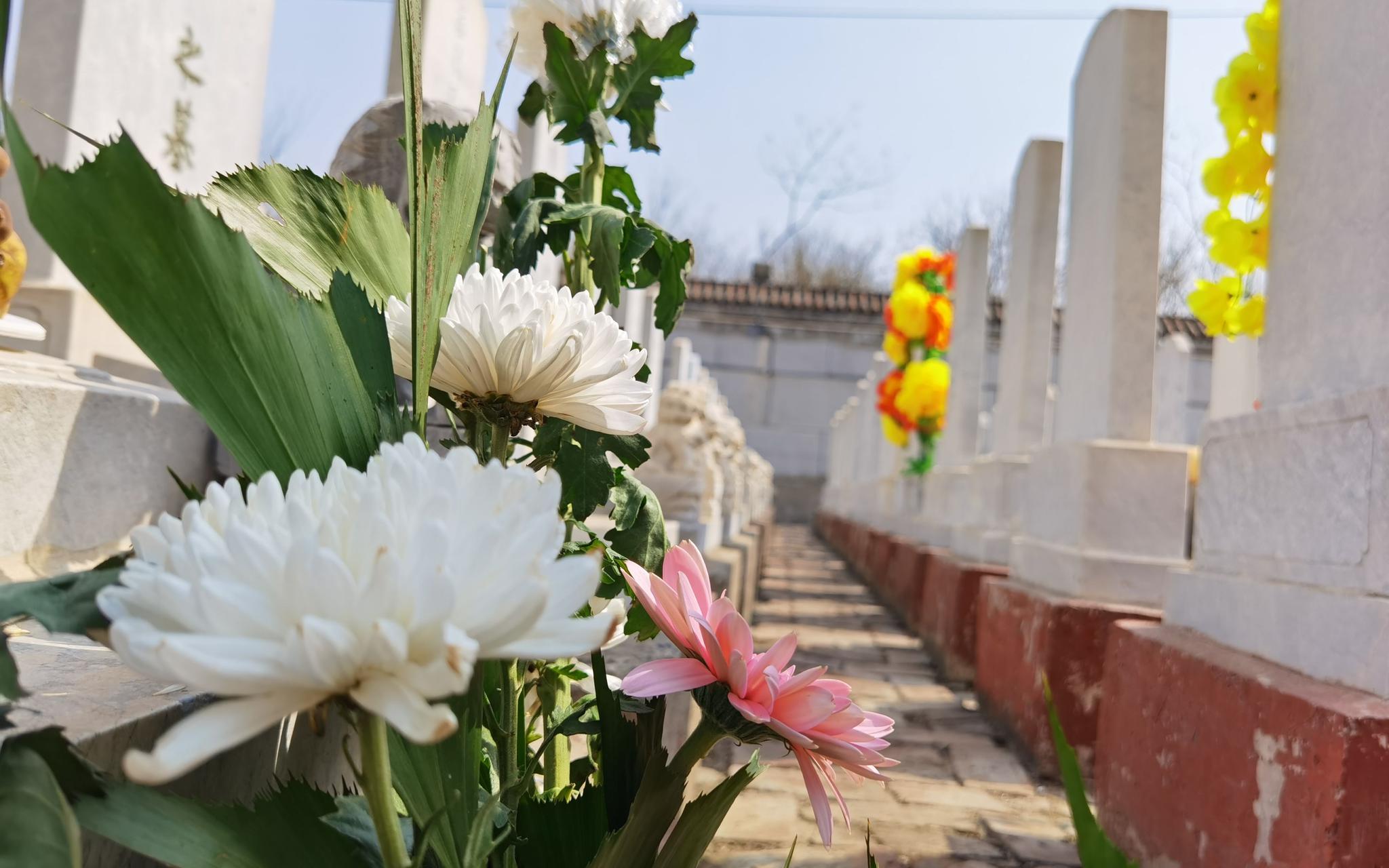 无论是去陵园祭扫,还是网络祭祀,都不该违背慎终追远的"清明"本分.