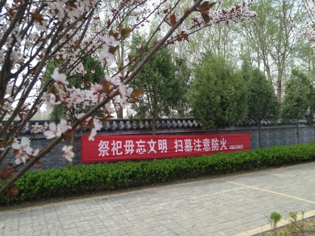 祭祖|清明节_新浪新闻