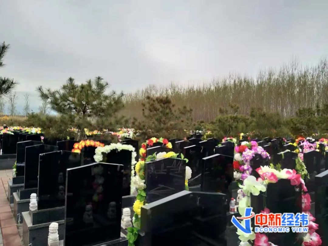 墓地9平米卖60万，上不封顶！网友直呼“死不起”