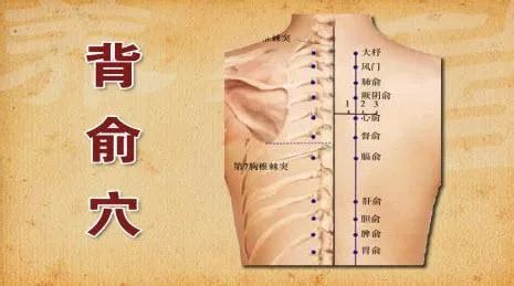 可以点按委中穴,可疏通膀胱经的经气,缓解腰部疼痛的症状.