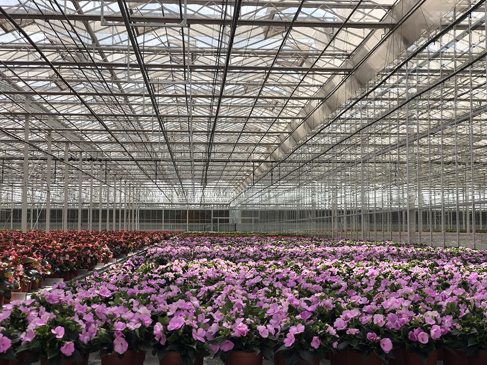 超级花卉工厂