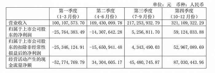 图片来源:ST椰岛2020年年报
