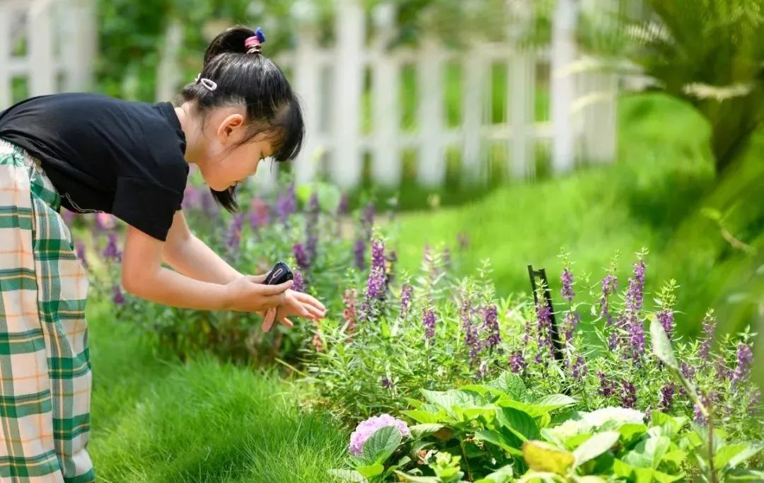 4月3日,海口热带农业科技博览园内百花争艳,小朋友用手机记录热带