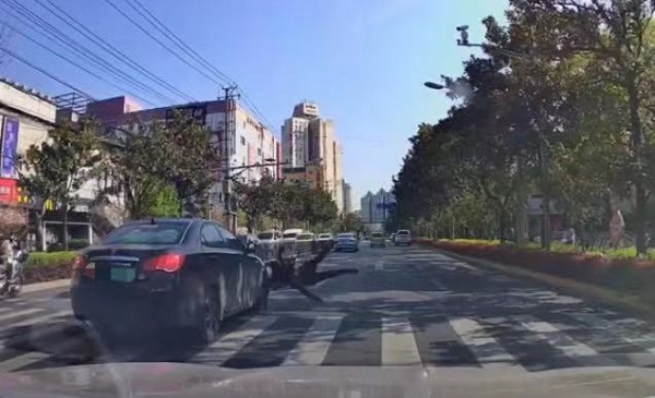 曲阳路行人过斑马线被撞 轿车未减速礼让行人休闲区蓝鸢梦想 - Www.slyday.coM