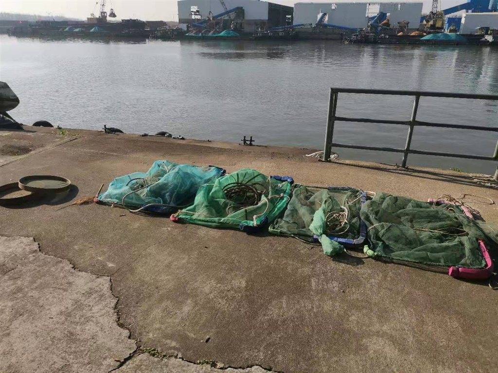 禁渔期顶风作案绝户网非法捕捞野生鳗鱼苗抓