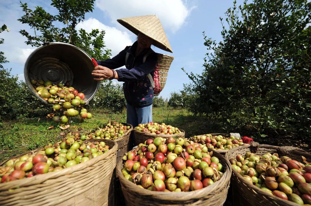 7亿人脱贫!中国提前10年完成 后续还有大动作