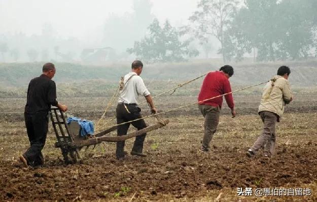 哪些番茄完结种田文值得一读 农女致富 山里汉宠妻无度的精彩剧情有哪些