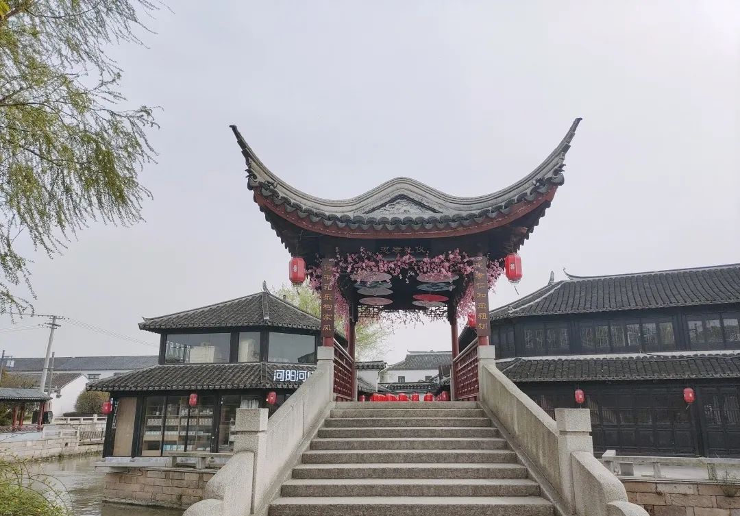 凤凰镇的花花,等你来恋!