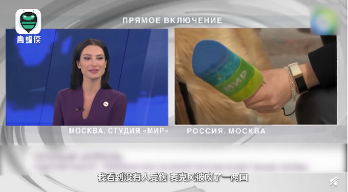 还好最终女记者追上了狗狗,"抢"回了自己的话筒,并和狗狗一起入镜直播