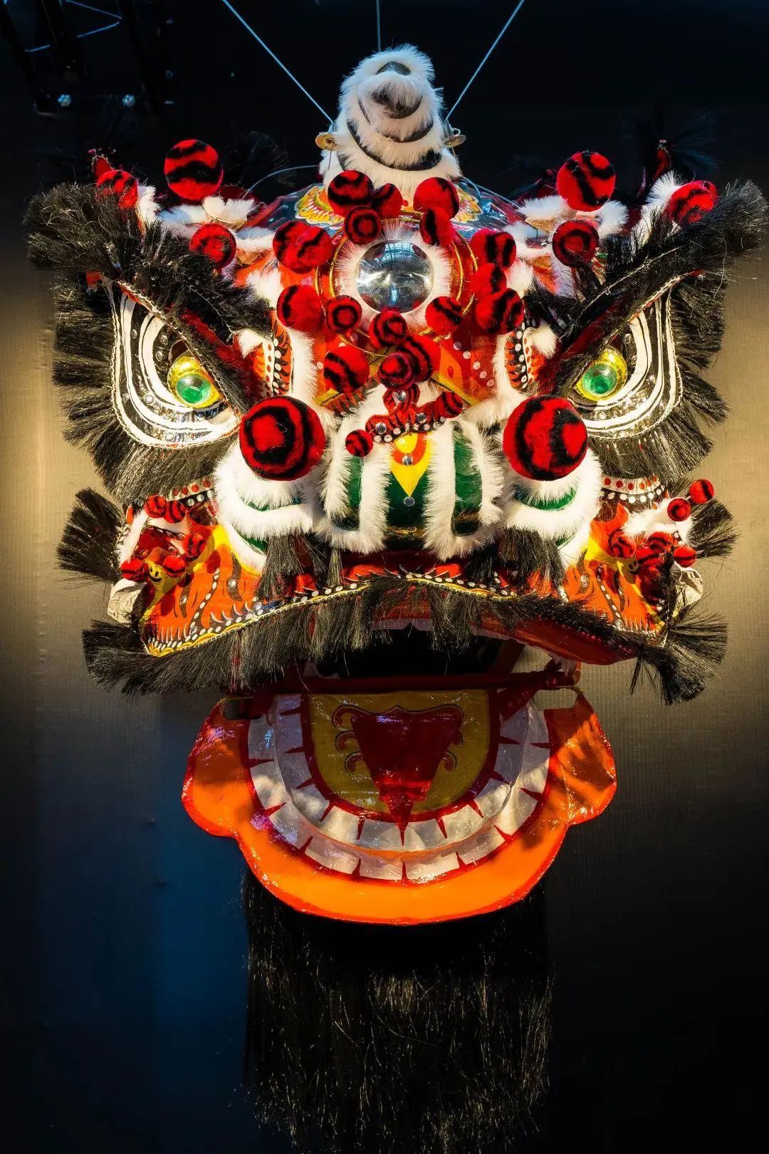 就知道佢係南狮入面嘅关公狮啦!