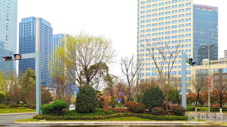西安经开区张家堡广场多了一处“新风景”|西安_新浪新闻