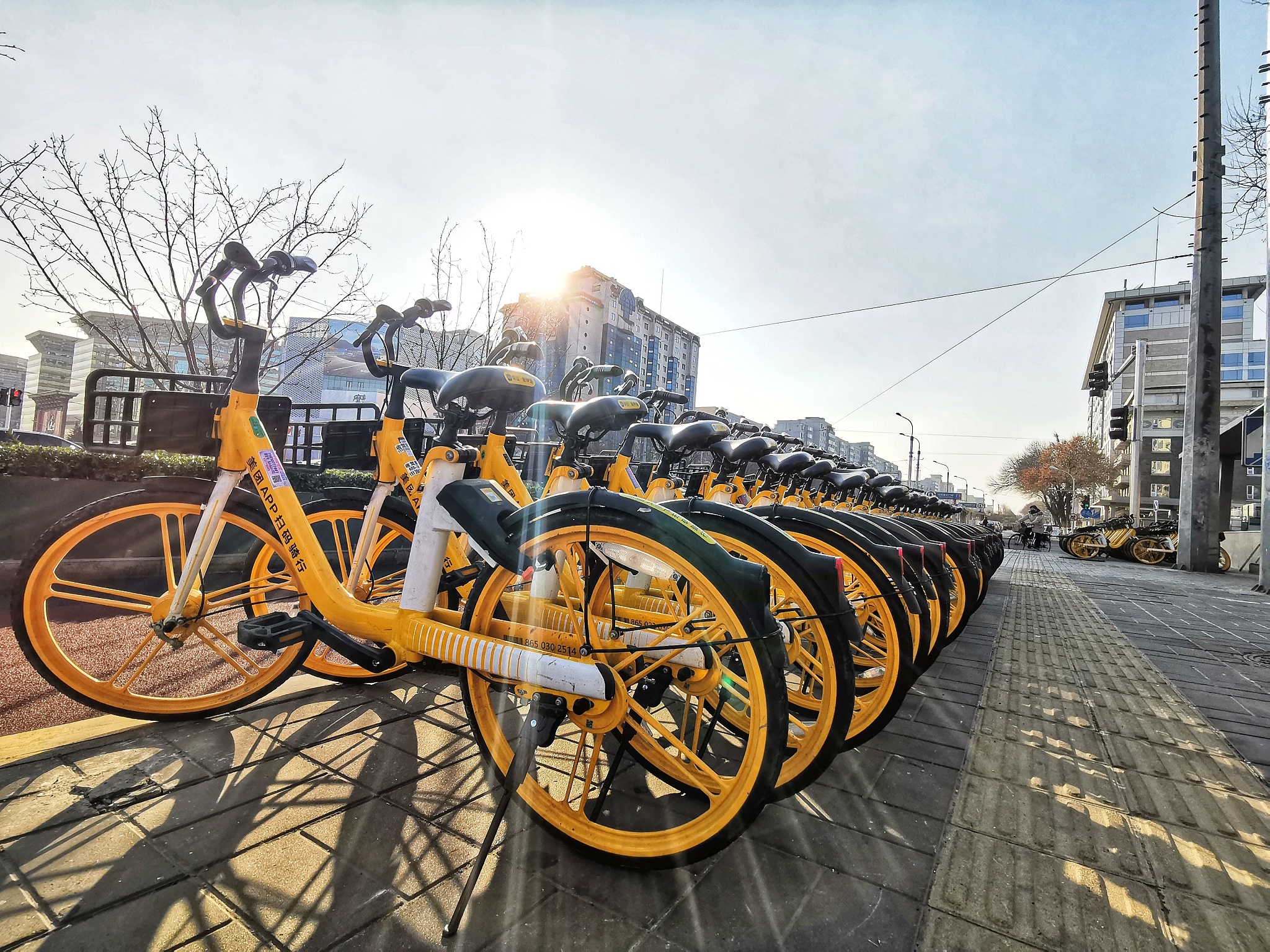 共享充电宝开了个坏头共享单车也悄悄涨价上海青桔比北京贵