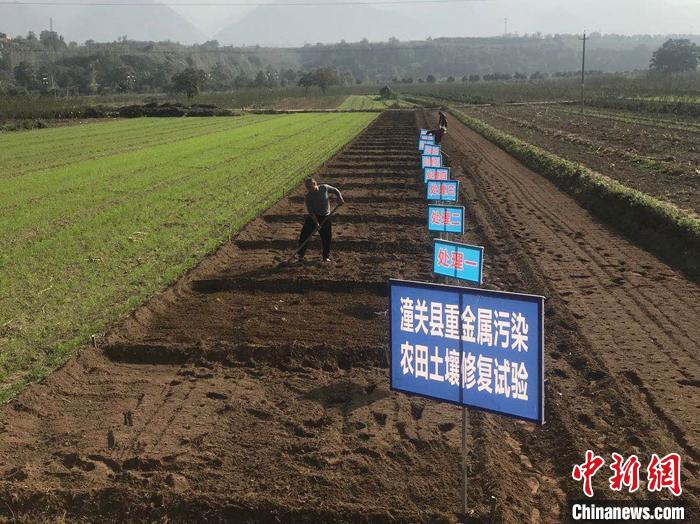 图为农田土壤修复. 陕西省农业农村厅 供图