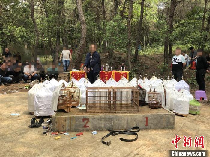 图为查获赌博现场。 南宁市公安局兴宁分局供图
