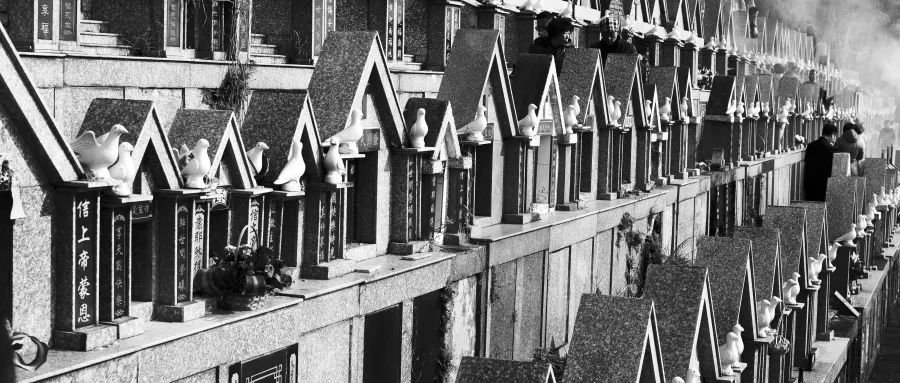 比房价还要贵宠物墓地兴起惹网友争议