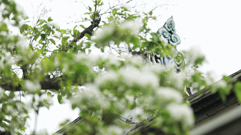 480_270gif 动态图 动图