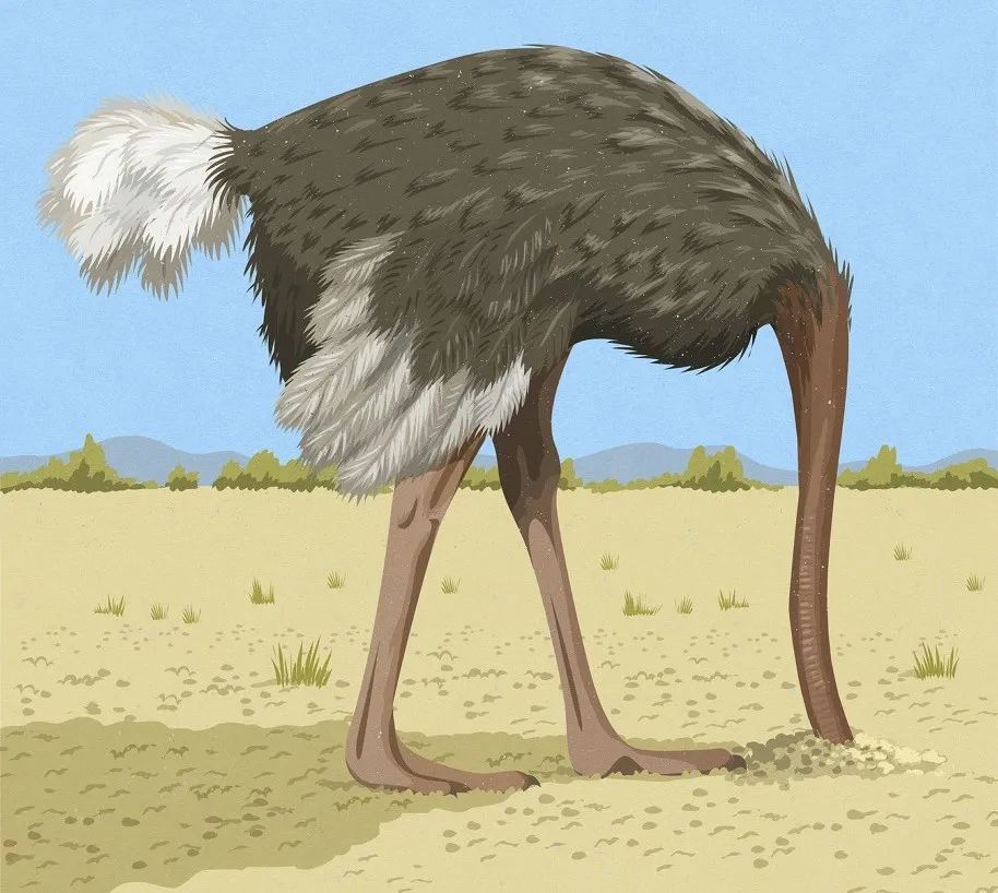 童话打假鸵鸟把头埋土里乌鸦喝水鳄鱼的眼泪