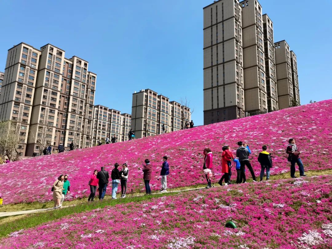 在山东省博物馆对面分车带,泉城路,泉城广场,经十路,解放桥,龙奥周边