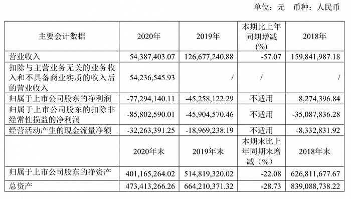 图片来源：*ST罗顿2020年年报