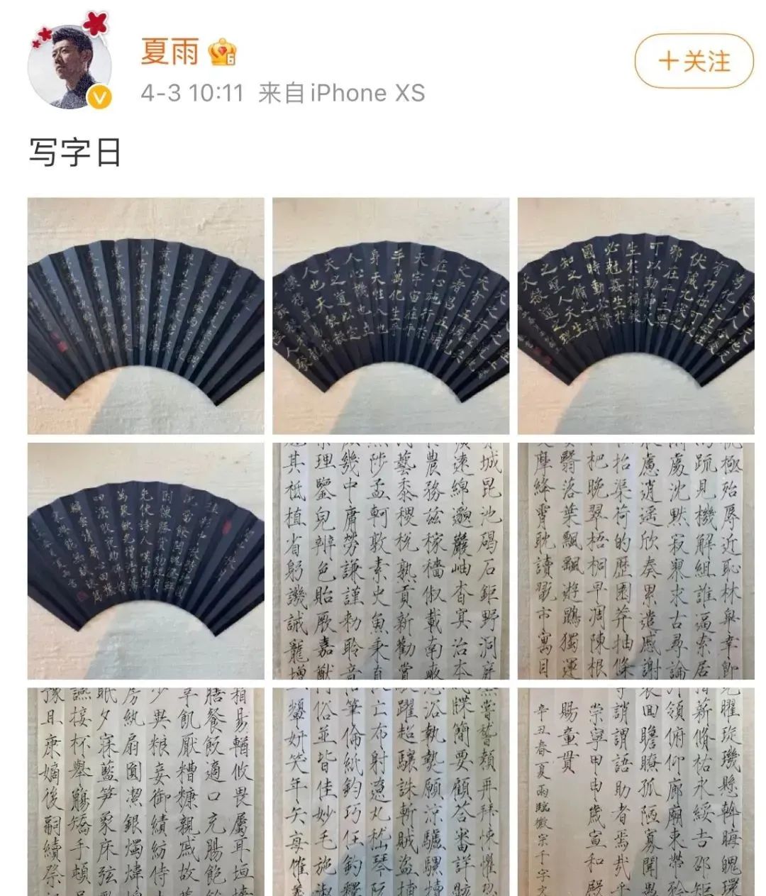 演员夏雨晒瘦金体网友直呼服了