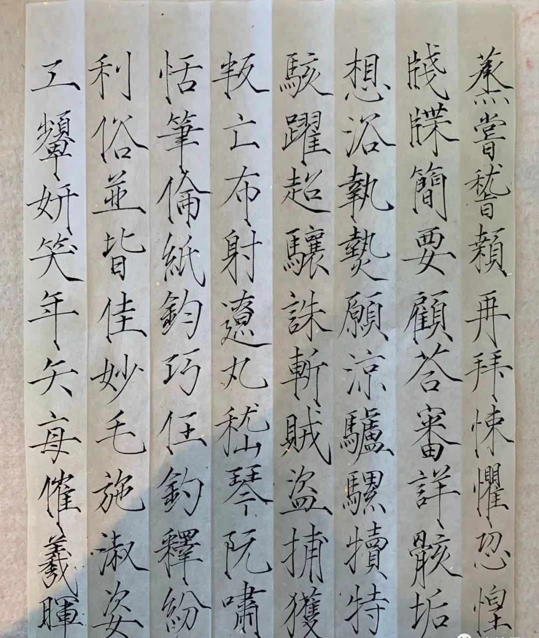 演员夏雨晒瘦金体网友直呼服了