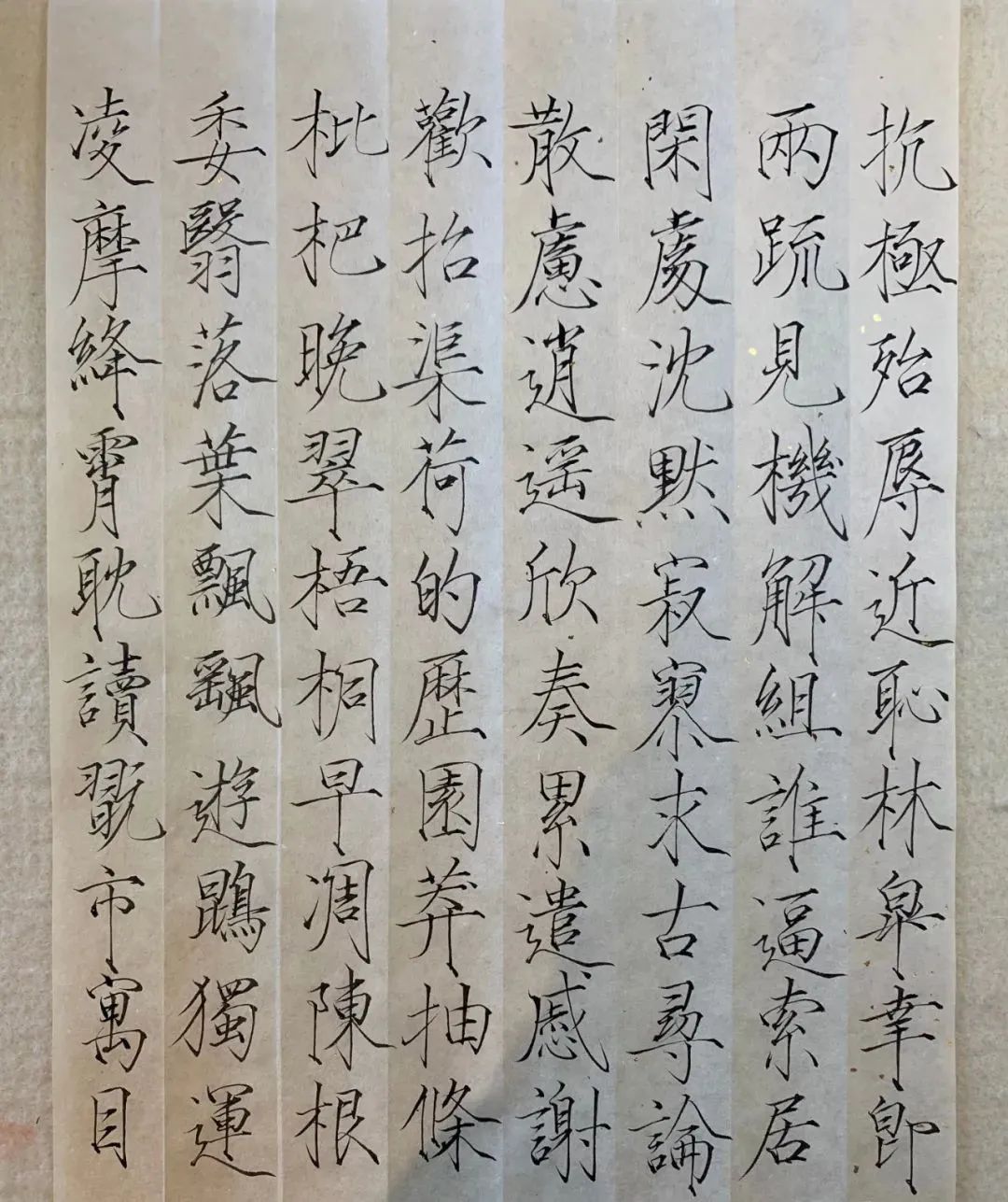 演员夏雨晒瘦金体网友直呼服了