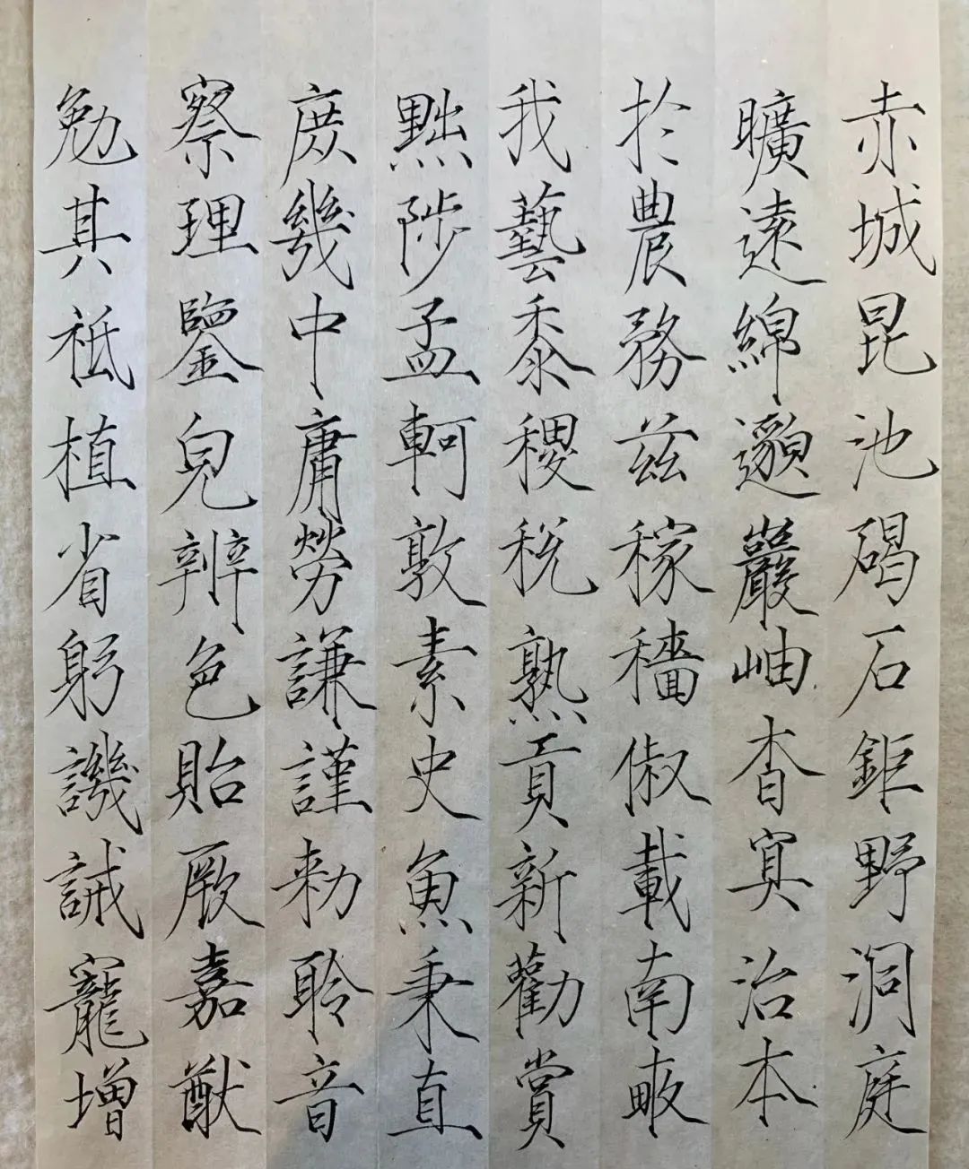 演员夏雨晒瘦金体网友直呼服了