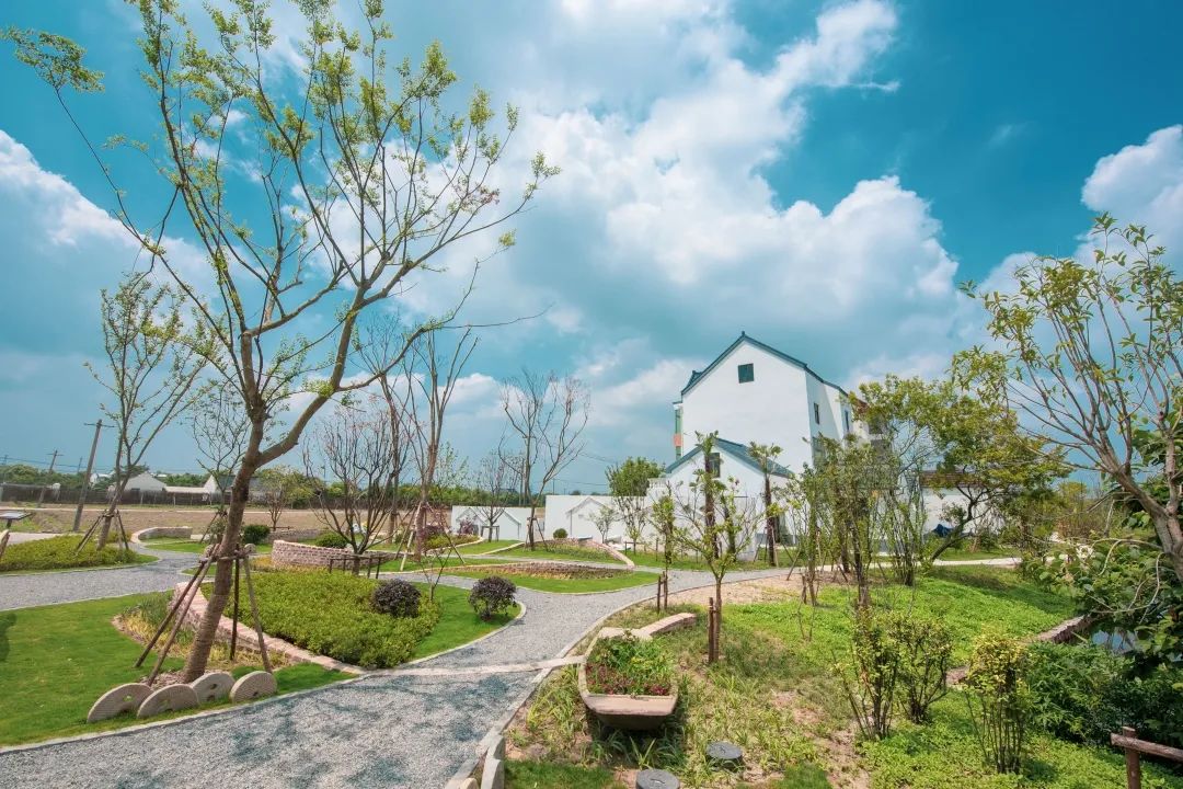 【探索】金山漕泾郊野公园建设又有新进展!特色景点大盘点