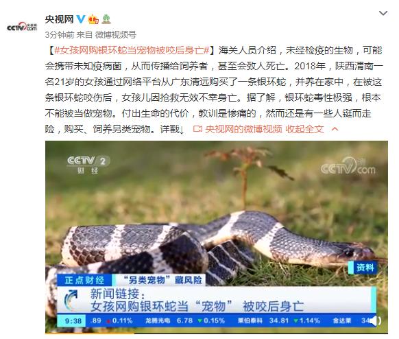女孩网购银环蛇当宠物被咬后身亡休闲区蓝鸢梦想 - Www.slyday.coM