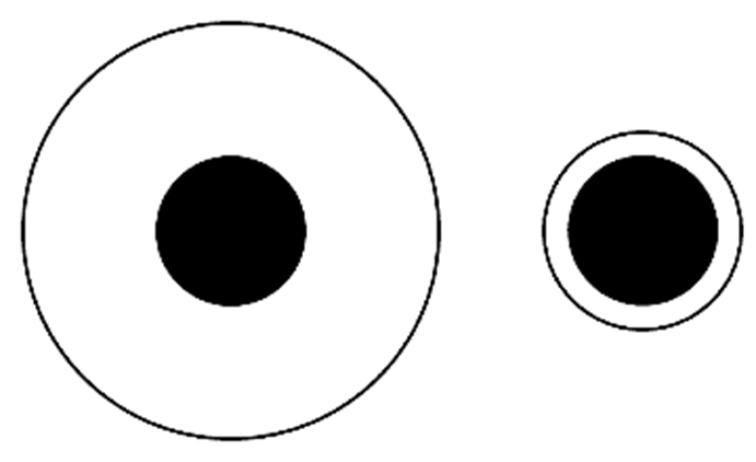 　在德勃夫大小错觉（Delboeuf illusion）中，两个位于中心的圆直径相同。在人类眼中，被较小的圆环包围的那个圆，看上去更大。两个研究发现，狗狗似乎并不会感知到任何区别。