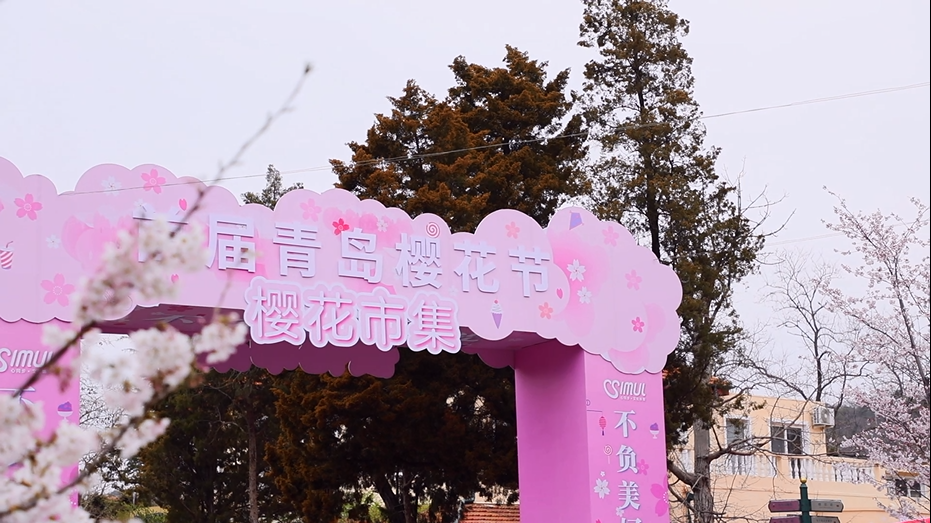 恒大文化旅游城樱花节图片