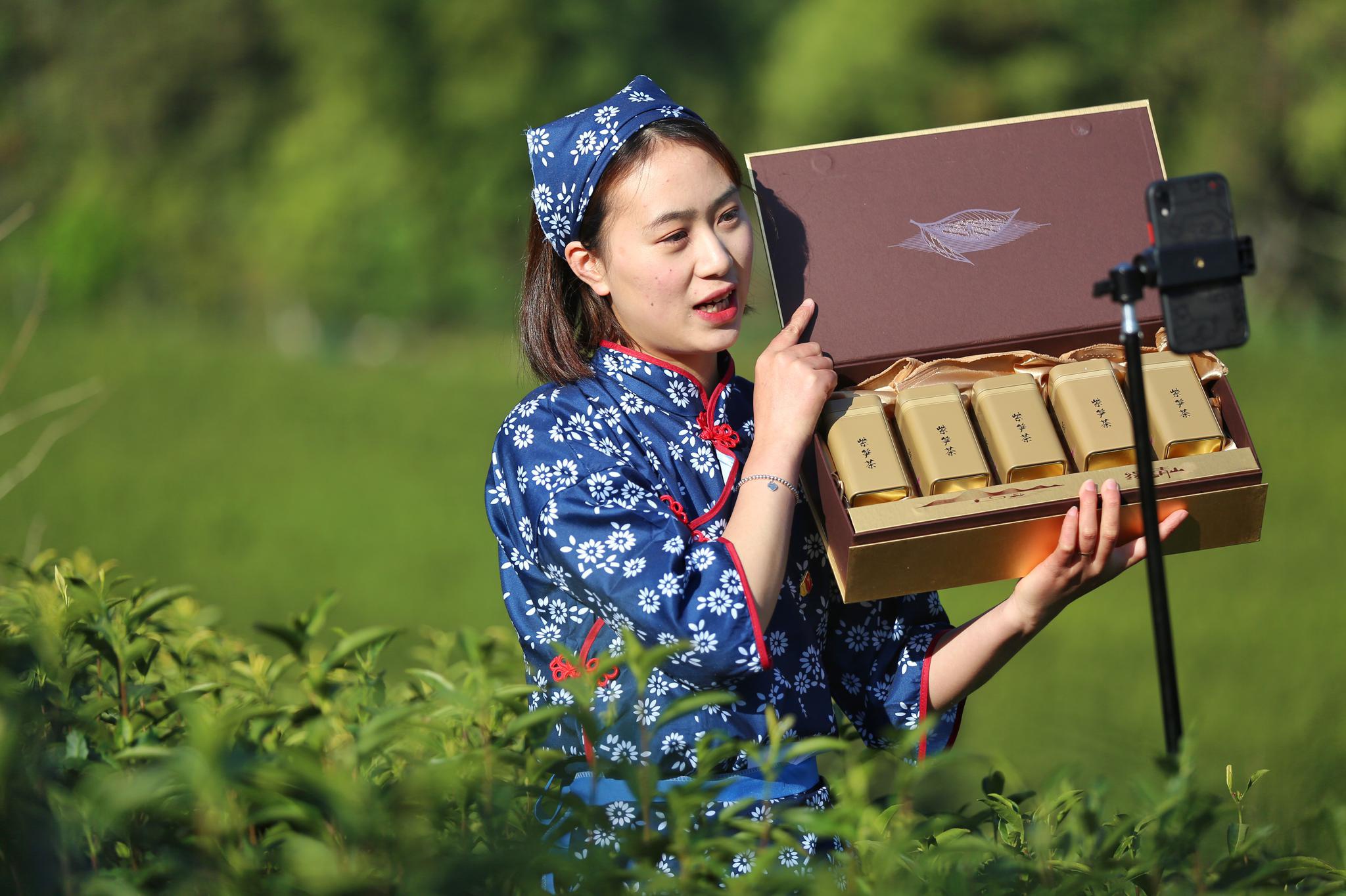 长兴毕业大学生党员志愿者直播卖茶助脱贫